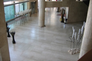 תערוכה מבט כללי