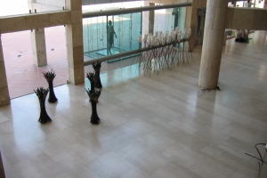 תערוכה מבט כללי