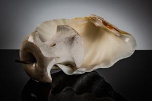 I Loved Because of an Apple