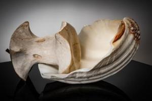 I Loved Because of an Apple