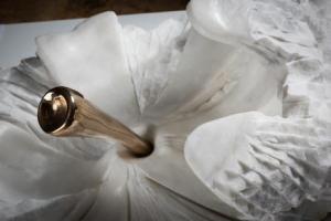 You Took me by Storm