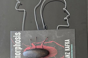Metamorphosis