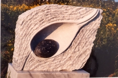 Seed Pod