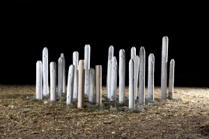 The Corn People