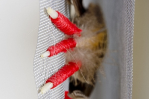 The Last of the Mohicans