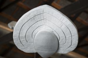 Hermes - The Power to Grow