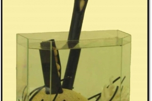 Organic Landscape 1 (detail)