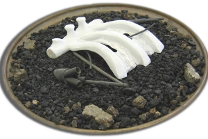 Organic Landscape 13 (detail)