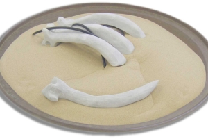 Organic Landscape 13 (detail)